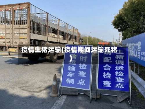 疫情生猪运输(疫情期间运输死猪)