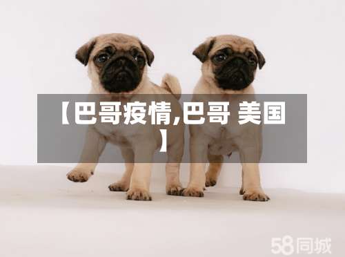 【巴哥疫情,巴哥 美国】-第2张图片