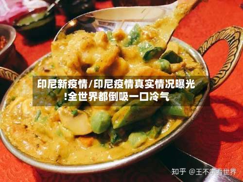 印尼新疫情/印尼疫情真实情况曝光!全世界都倒吸一口冷气-第3张图片