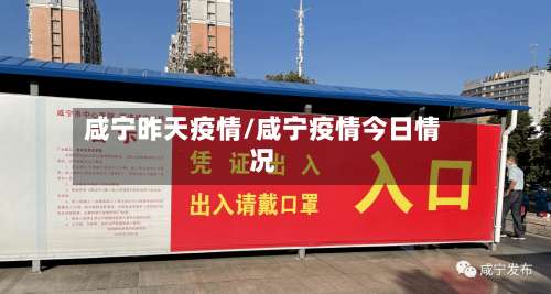 咸宁昨天疫情/咸宁疫情今日情况