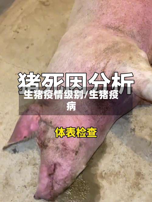 生猪疫情级别/生猪疫病-第2张图片