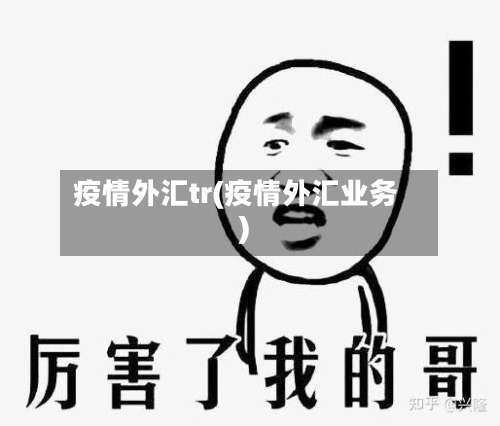 疫情外汇tr(疫情外汇业务)-第3张图片