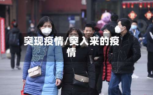 突现疫情/突入来的疫情