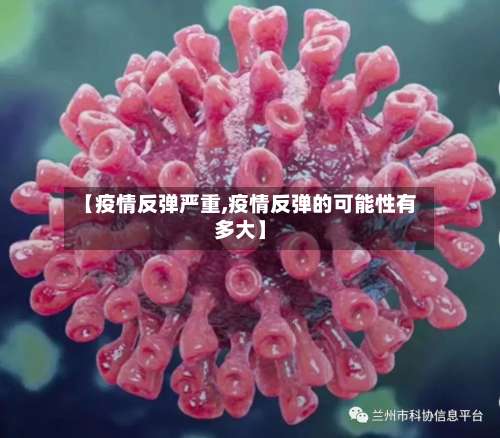 【疫情反弹严重,疫情反弹的可能性有多大】-第3张图片