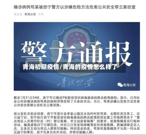 青海初期疫情/青海的疫情怎么样了