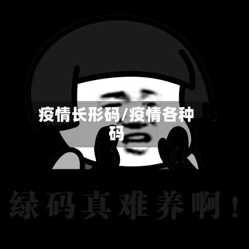 疫情长形码/疫情各种码-第2张图片