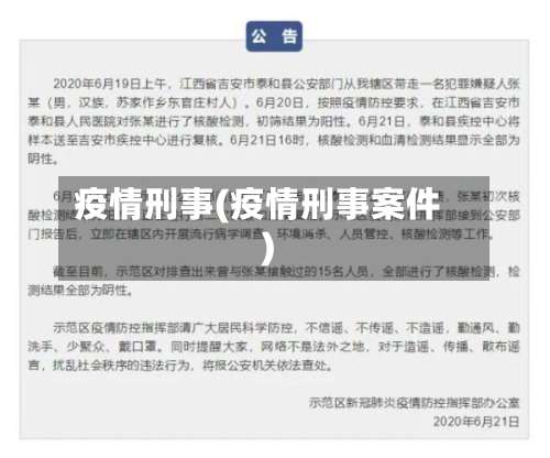 疫情刑事(疫情刑事案件)