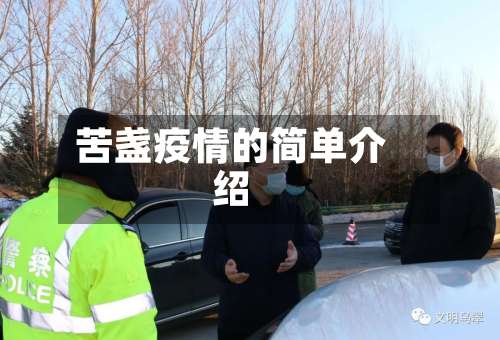苦盏疫情的简单介绍-第2张图片