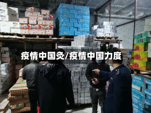 疫情中国灸/疫情中国力度-第2张图片