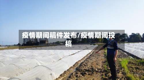 疫情期间稿件发布/疫情期间投稿-第2张图片