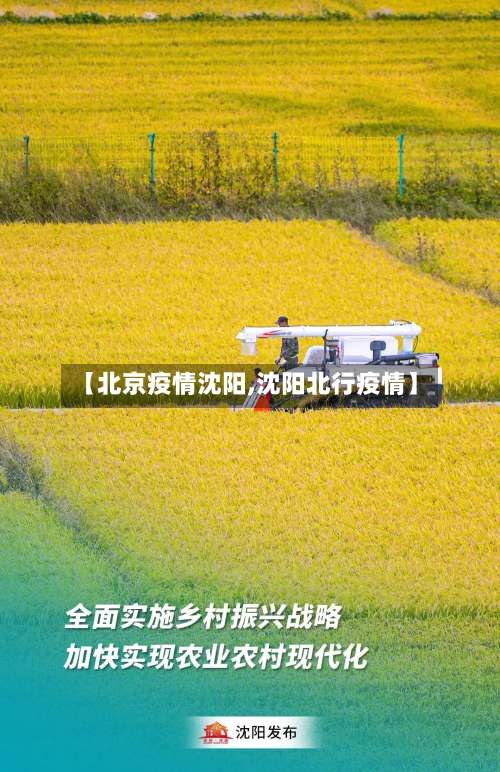 【北京疫情沈阳,沈阳北行疫情】-第2张图片