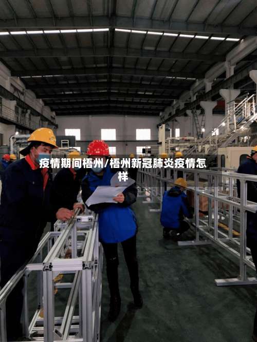 疫情期间梧州/梧州新冠肺炎疫情怎样