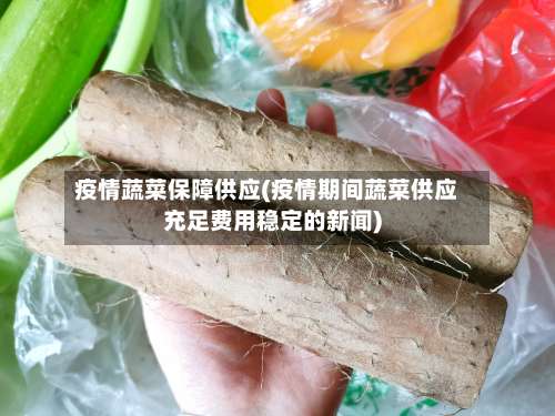 疫情蔬菜保障供应(疫情期间蔬菜供应充足费用稳定的新闻)