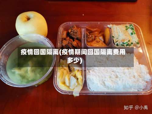 疫情回国隔离(疫情期间回国隔离费用多少)-第2张图片
