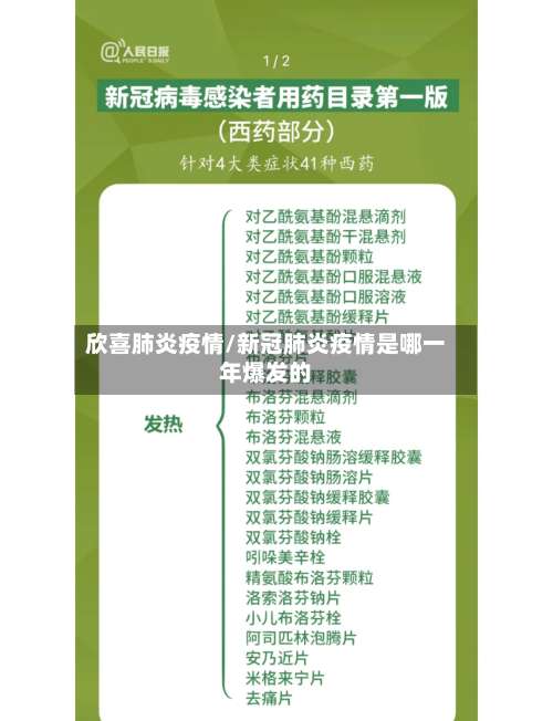 欣喜肺炎疫情/新冠肺炎疫情是哪一年爆发的