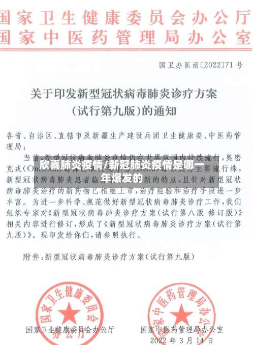 欣喜肺炎疫情/新冠肺炎疫情是哪一年爆发的-第3张图片