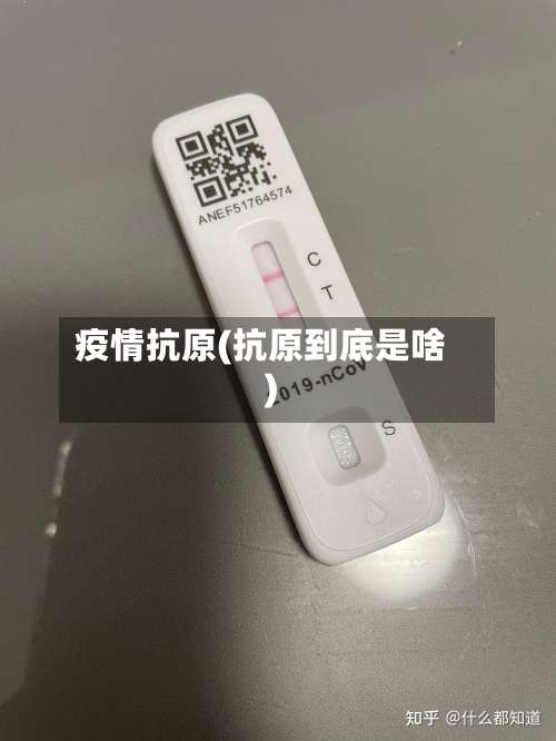 疫情抗原(抗原到底是啥)-第2张图片