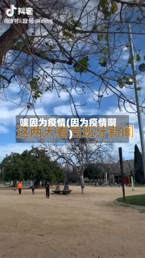 唉因为疫情(因为疫情啊)