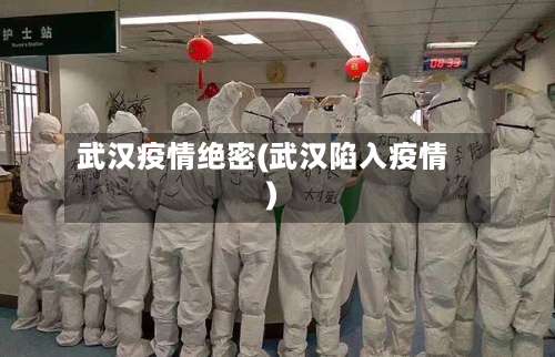 武汉疫情绝密(武汉陷入疫情)
