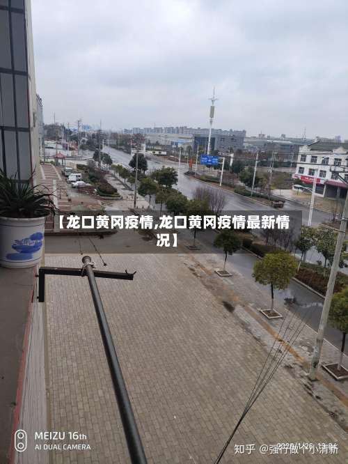 【龙口黄冈疫情,龙口黄冈疫情最新情况】