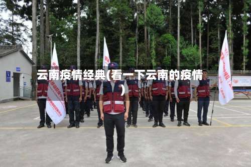 云南疫情经典(看一下云南的疫情)