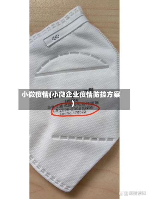 小微疫情(小微企业疫情防控方案)-第3张图片