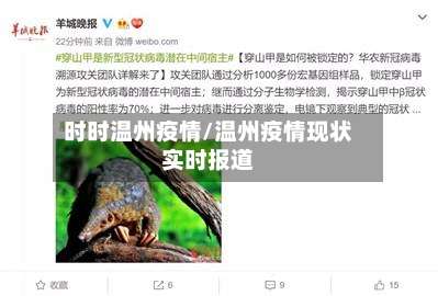 时时温州疫情/温州疫情现状实时报道