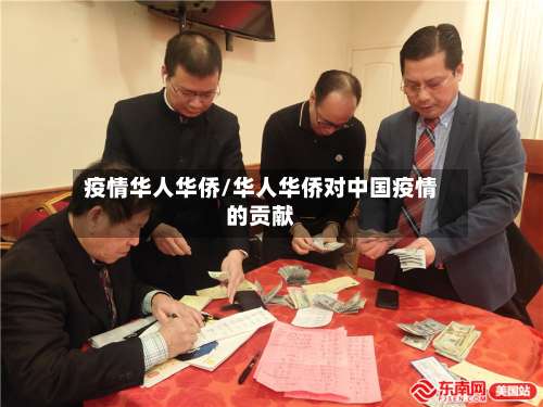 疫情华人华侨/华人华侨对中国疫情的贡献-第2张图片
