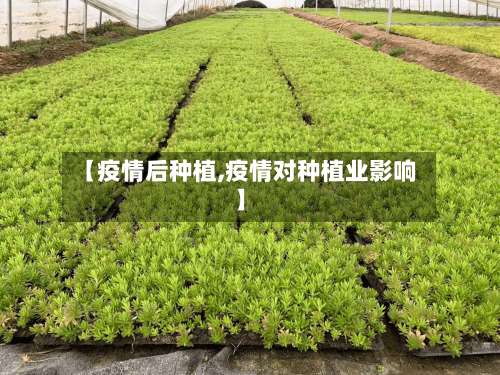 【疫情后种植,疫情对种植业影响】