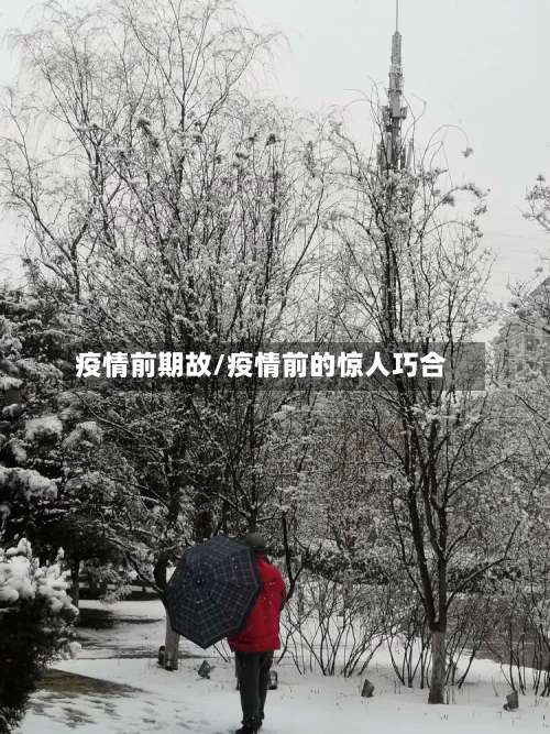 疫情前期故/疫情前的惊人巧合