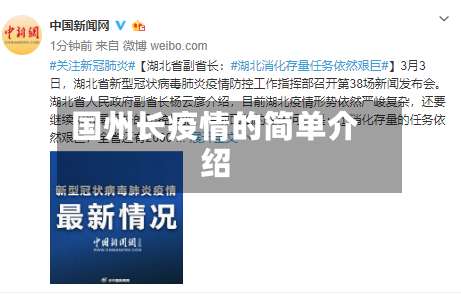 国州长疫情的简单介绍-第2张图片