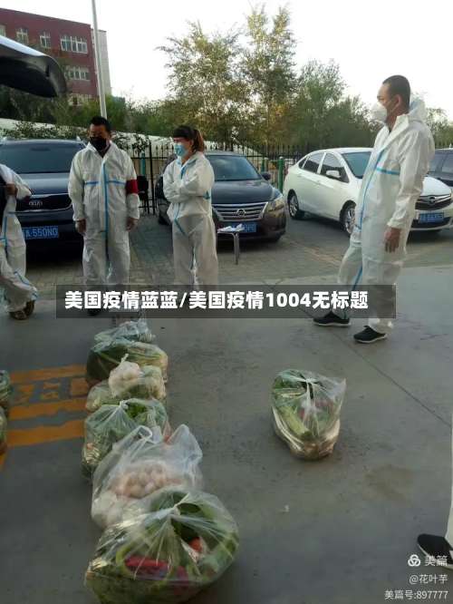 美国疫情蓝蓝/美国疫情1004无标题
