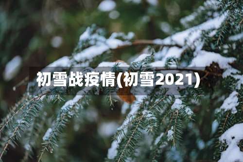 初雪战疫情(初雪2021)-第2张图片