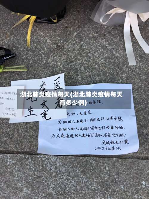 湖北肺炎疫情每天(湖北肺炎疫情每天有多少例)