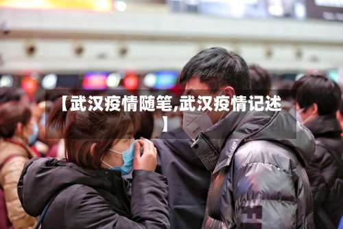【武汉疫情随笔,武汉疫情记述】