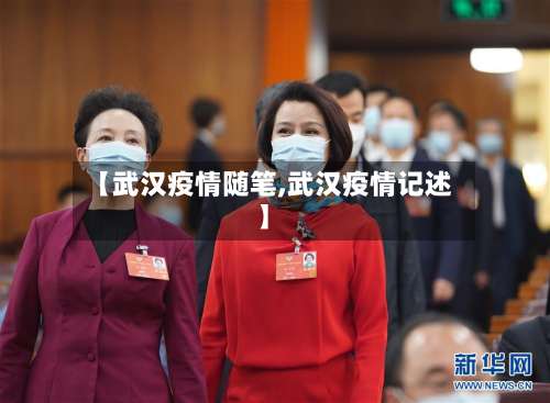 【武汉疫情随笔,武汉疫情记述】-第2张图片