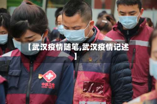 【武汉疫情随笔,武汉疫情记述】-第3张图片