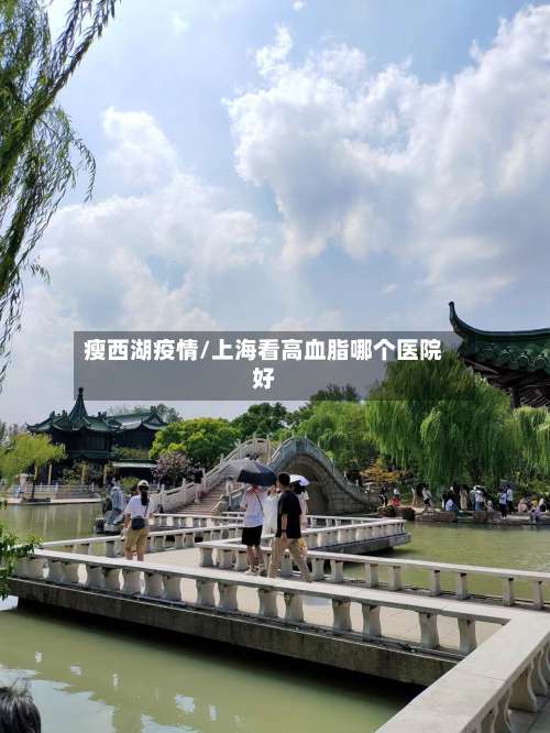 瘦西湖疫情/上海看高血脂哪个医院好-第3张图片