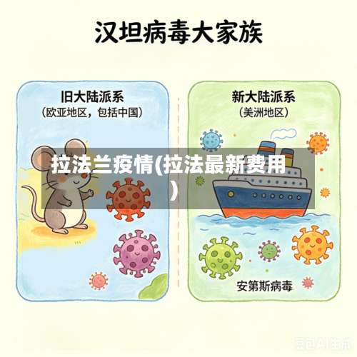 拉法兰疫情(拉法最新费用)