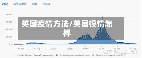 英国疫情方法/英国役情怎样-第2张图片