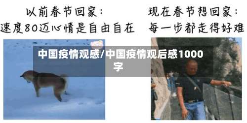 中国疫情观感/中国疫情观后感1000字