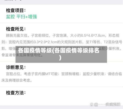 各国疫情等级(各国疫情等级排名)-第2张图片