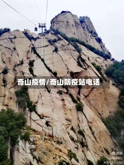 奇山疫情/奇山防疫站电话