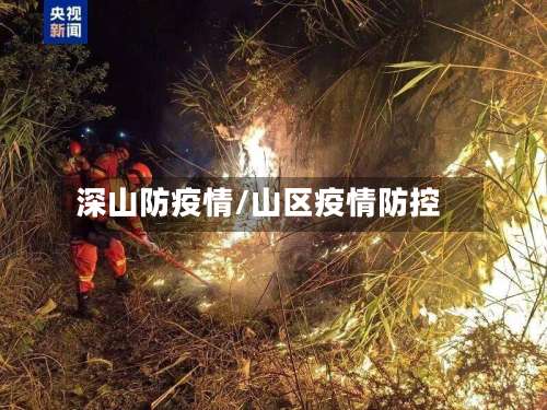 深山防疫情/山区疫情防控-第2张图片