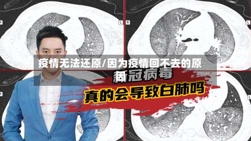 疫情无法还原/因为疫情回不去的原因-第3张图片