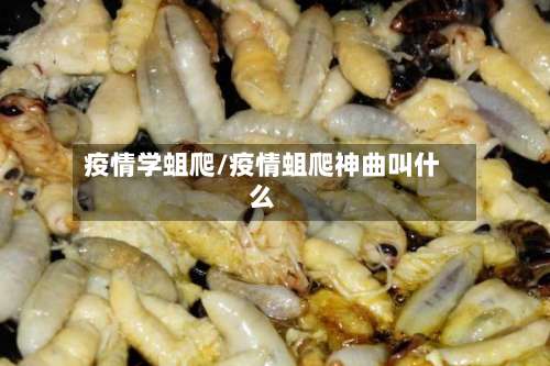 疫情学蛆爬/疫情蛆爬神曲叫什么