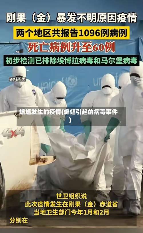 蝙蝠发生的疫情(蝙蝠引起的病毒事件)