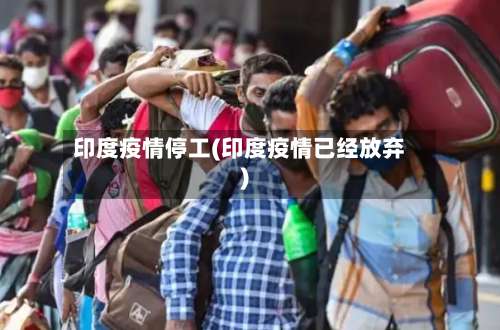 印度疫情停工(印度疫情已经放弃)-第2张图片