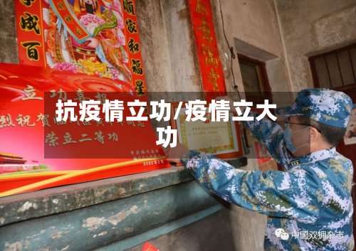 抗疫情立功/疫情立大功