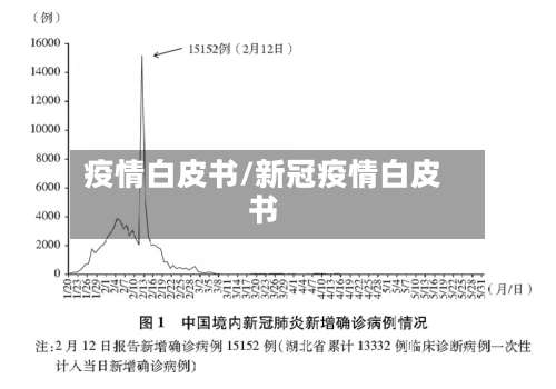 疫情白皮书/新冠疫情白皮书-第2张图片